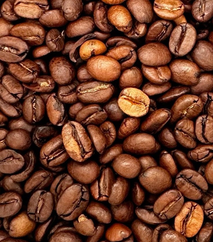 Café de especialidad hondureño cultivado en Intibucá